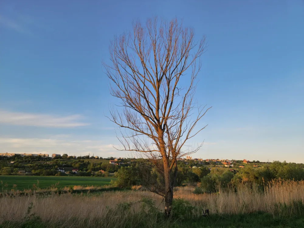 Photograph from theme16.jpg