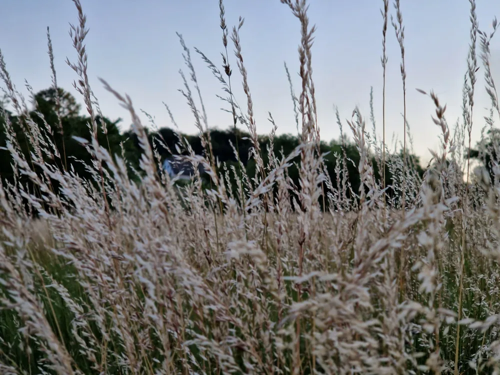 Photograph from theme7.jpg