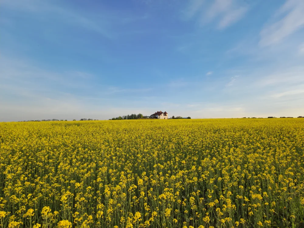 Photograph from theme10.jpg