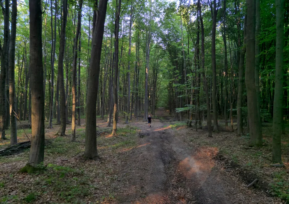 Photograph from theme2.jpg