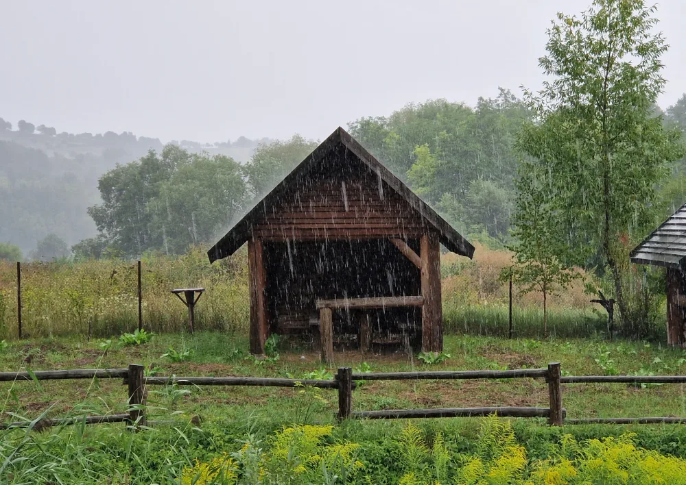 Photograph from theme4.jpg